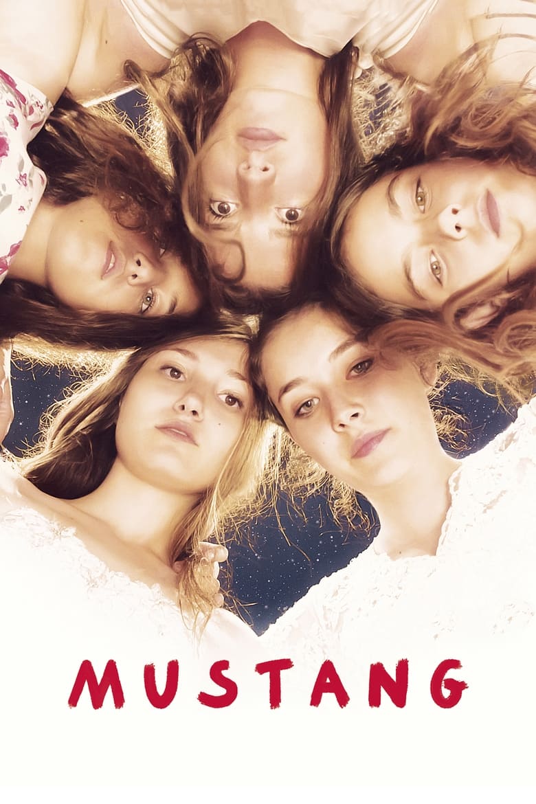 دانلود فیلم Mustang 2015 اسب وحشی دانلود فیلم Mustang 2015 اسب وحشی